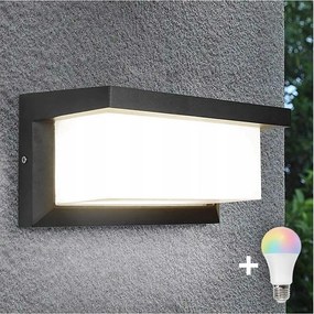 LED RGBW dimmelhetĆ kĂŒltĂ©ri fali lĂĄmpatest NEELY 1xE27/12W/230V IP54 antracit