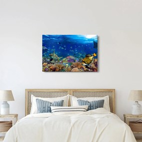 Kép - Óceán (90x60 cm)