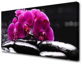 Vászonkép nyomtatás Zen kövek Orchid Spa 100x50 cm