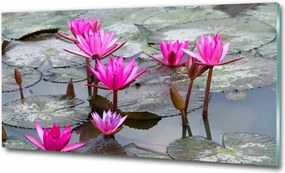 Fotó üvegkép Levendula egy cserépben 100x70