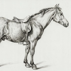 Flizelin fotótapéta Flizelin Design Ló vázlat 250x250 Ragasztó