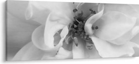 Kép - Virág, fekete-fehér (120x50 cm)