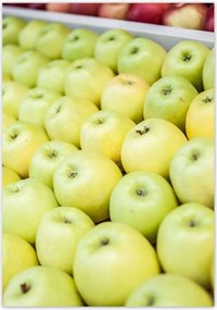 Poszterek 70x100 Piros alma