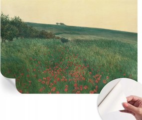 Dekoratív öntapadós fotótapéta Hálószobába Pipacs mezők 152x104 cm