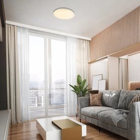 Rabalux 71053 - LED Mennyezeti lámpa OSWALD LED/24W/230V 4000K átm. 40 cm