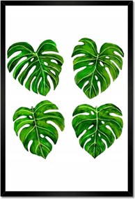 Poszterek keretben 40x60 Lyukas monsera levelek