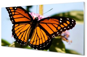 Akrilkép színes pillangó 125x50 cm