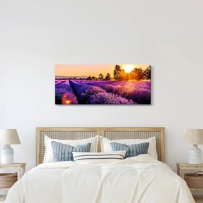 A levendula mező képe, Provence (120x50 cm)