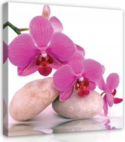 Vászonkép 80x80 Orchidea kövek spa pihenés harmónia természet virágok rózsaszín