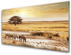 Üvegkép Zebra Safari Landscape 100x50 cm 2 fogas