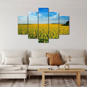 Kép - napraforgó (150x105 cm)