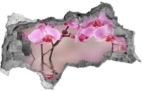 3d-s lyukat fali matrica Rózsaszín orchidea nd-b-79883275