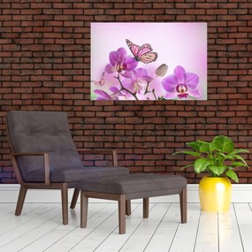 Kép - Pillangó orchidea virágon, lila (90x60 cm)