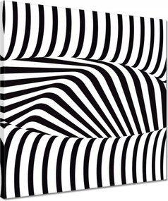 Vászonkép 40x40 Absztrakt fekete-fehér