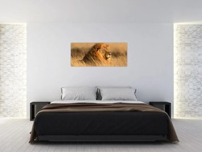 Kép - Etosha Nemzeti Park (120x50 cm)