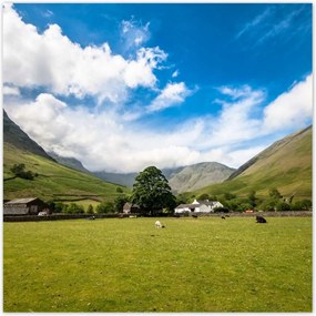 Poszterek 100x100 Juh legeltetés