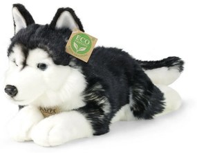 Rappa Plüss husky kutya, 36 cm ECO-FRIENDLY