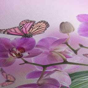 Kép - Pillangó orchidea virágon, lila (órával) (90x30 cm)