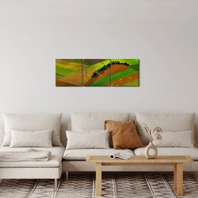 Kép - Mezők, rétek (órával) (90x30 cm)