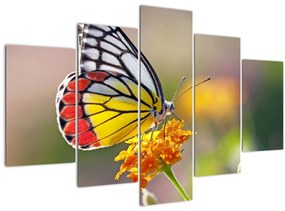 Egy pillangó képe a virágon (150x105 cm)