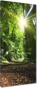 Vászonkép 55x115 Varázslatos erdő Tájkép