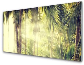 Akrilkép Palm Tree Forest Nature 100x50 cm 2 fogas