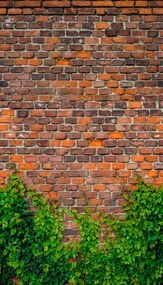 Falfestmény falpanel Piros téglafal, loft stílus 364873 Rasch