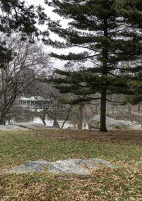 Poszter 29,7x42cm Central Park, New York, Assaf Frank