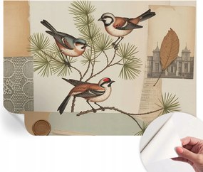 Dekoratív öntapadós fotótapéta Hálószobába Madarak collage 208x146 cm