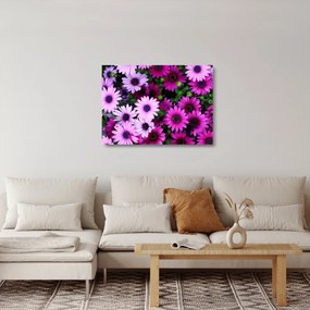 Kép - Virágok (üvegen) (70x50 cm)