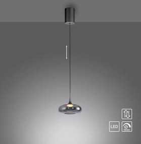 Paul Neuhaus modern függeszték posh szürke pln15692-15