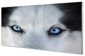 Üvegképek farkas szemet 100x50 cm
