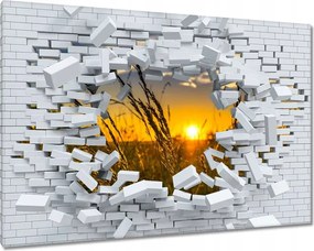 Vászonkép 120x80 Naplemente a füvek között