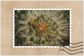 Poszterek 90x60 Pitypang Virág Virágok