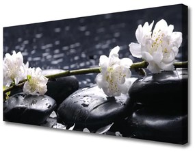 Canvas kép virág Stones 100x50 cm