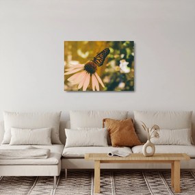 Pillangó képe a virágon (üvegen) (70x50 cm)
