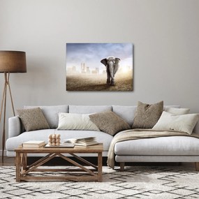 Kép - Elefánt egy nagyvárosban (70x50 cm)