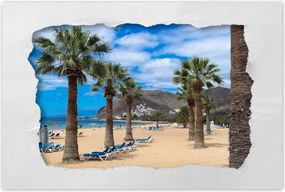 Poszterek 90x60 Nagy pálmafák a tengerparton