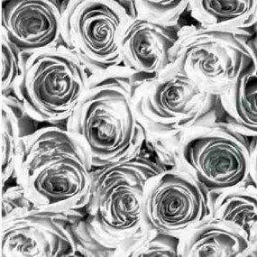 Szürke fehér rózsák öntapadós tapéta