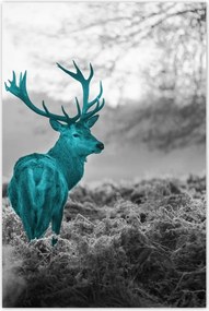 Poszterek 80x120 Türkiz szarvas agancsokkal