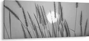 Kép - Mező naplementében (120x50 cm)