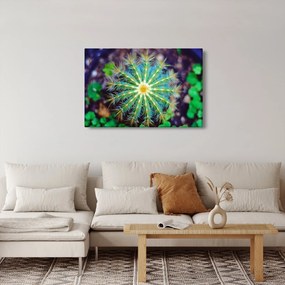 Kaktusz kép (90x60 cm)