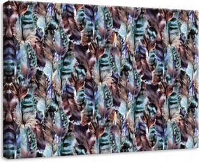 Vászonkép 70x50 Toll minta részletek természetes organikus nyugodt dekoratív