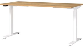 Íróasztal elektromosan állítható magassággal, tölgyfa dekoros asztallappal 80x160 cm Jet – Germania
