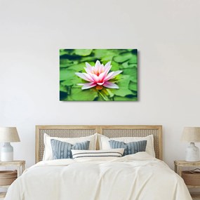 A tavirózsa képe a felszínen (90x60 cm)