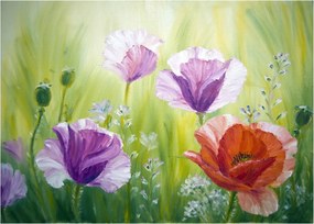 Kép - Pipacsok (üvegen) (70x50 cm)