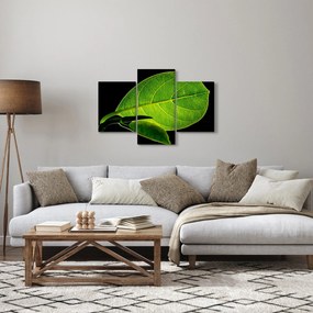 Kép - zöld levél (90x60 cm)