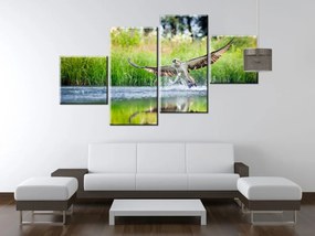 Gario Vászonkép Rétisas vadászik - 4 részes Méret: 160 x 90 cm