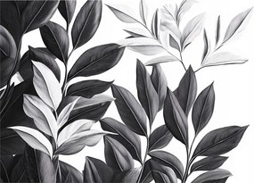 Fotótapéta virágok fekete fehér liliomok elegáns kontraszt +ragasztó ingyen