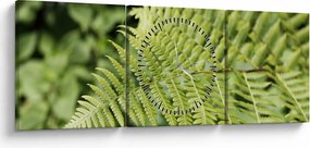 Kép - Páfránylevél (órával) (90x30 cm)